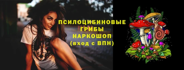индика Белоозёрский