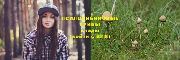 ГАЛЛЮЦИНОГЕННЫЕ ГРИБЫ Балахна