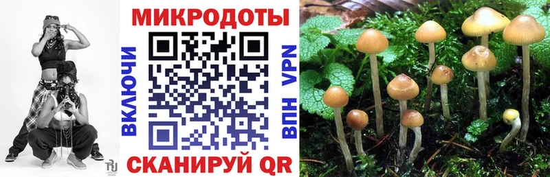 Галлюциногенные грибы Psilocybine cubensis  Касимов 